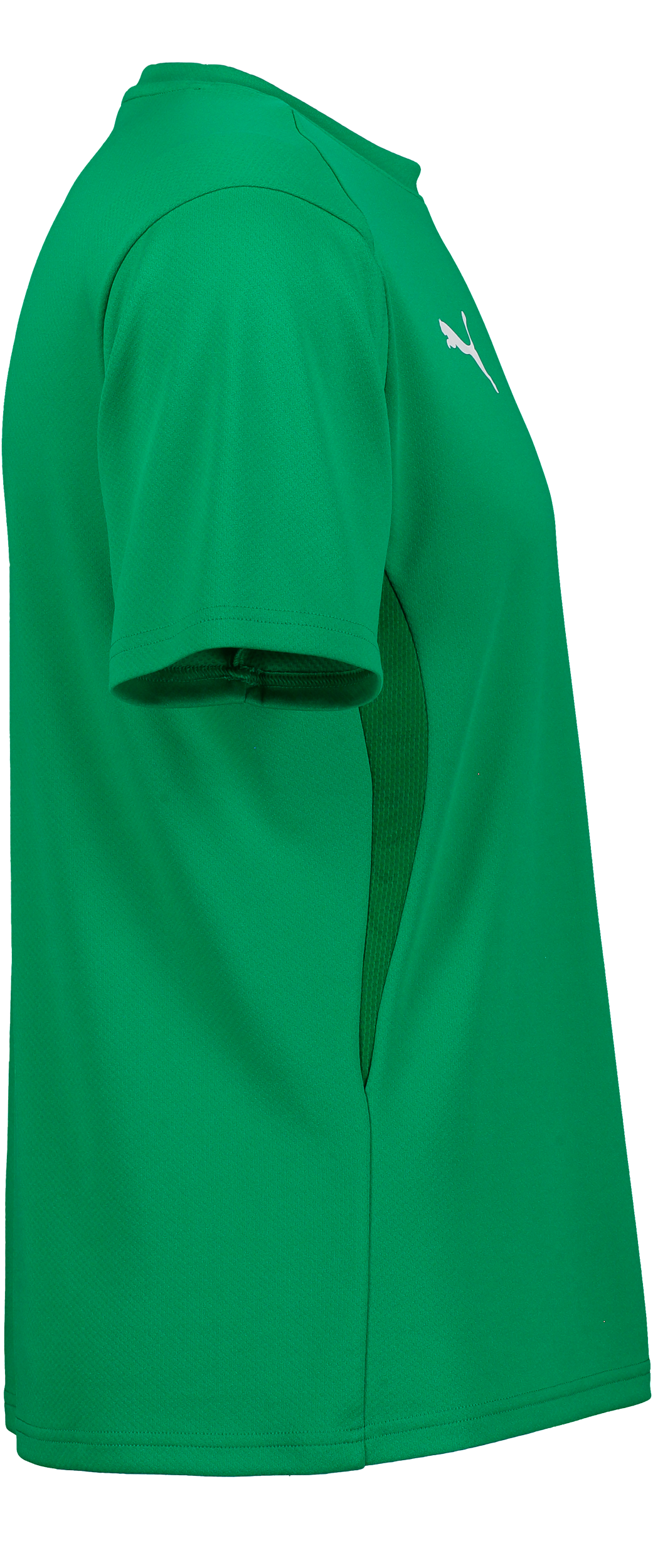 PUMA, T Goal Trg Jsy Jr