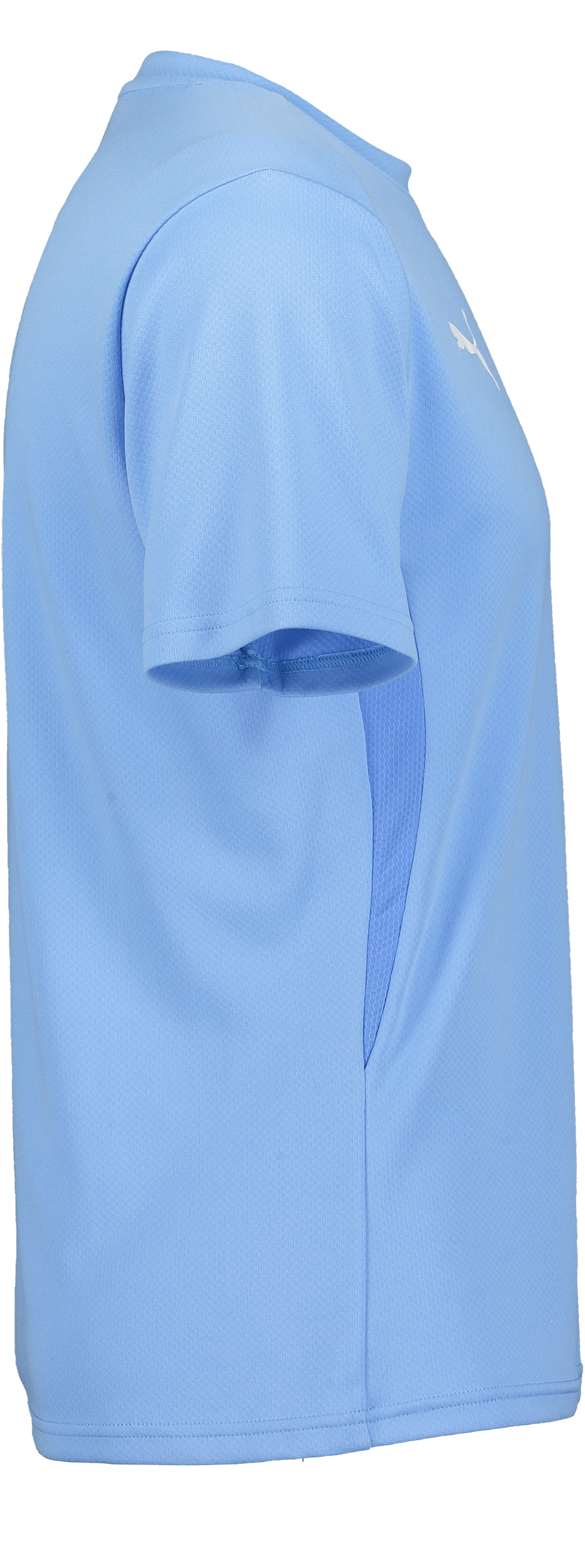 PUMA, T Goal Trg Jsy Jr