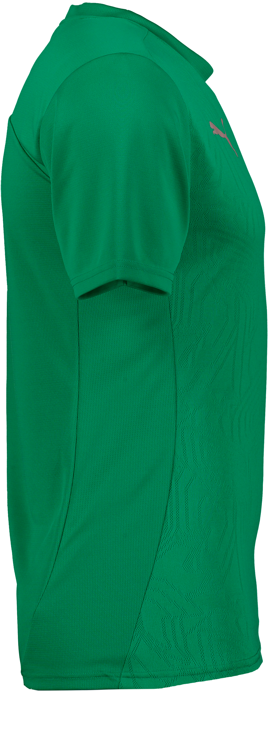 PUMA, T Final Trg Jsy