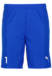 391942102101 PUMA T Goal Shorts 391942102101 PUMA T Goal Shorts Standard Small1x1