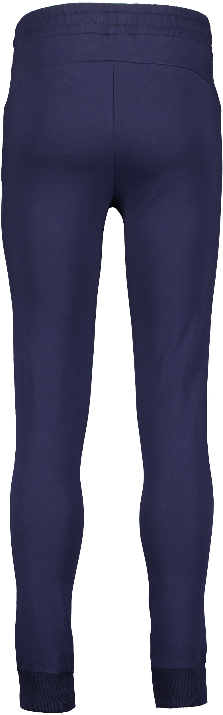 PUMA, Teamgoal Casuals Pants