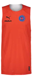 387569102101 PUMA Hoops Team Reverse Practice Jersey 387569102101 PUMA Hoops Team Reverse Practice Jersey Standard Small1x1