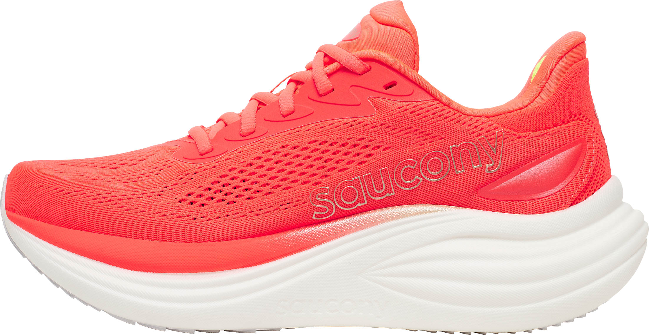 SAUCONY, W TRIUMPH 24