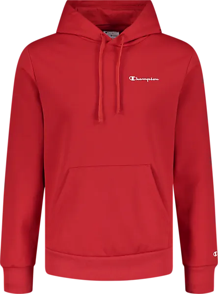 Champion hooded sweatshirt