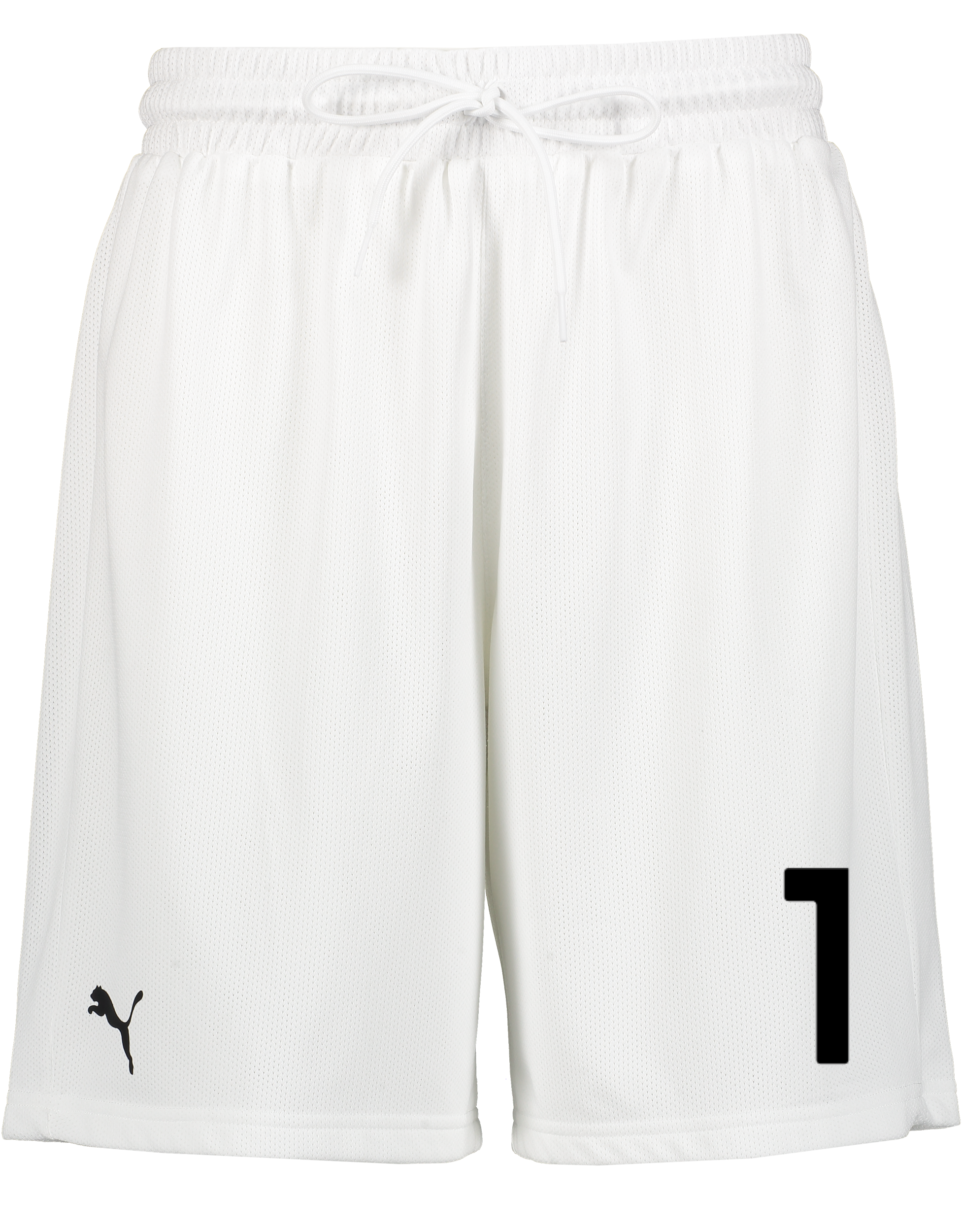 
PUMA, 
Hoops Team Practice Short, 
Detail 1
