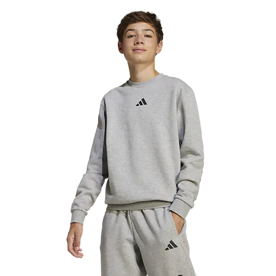 399835102101 ADIDAS J Allszn Gfx Sw 399835102101 ADIDAS J Allszn Gfx Sw Model01 Detail