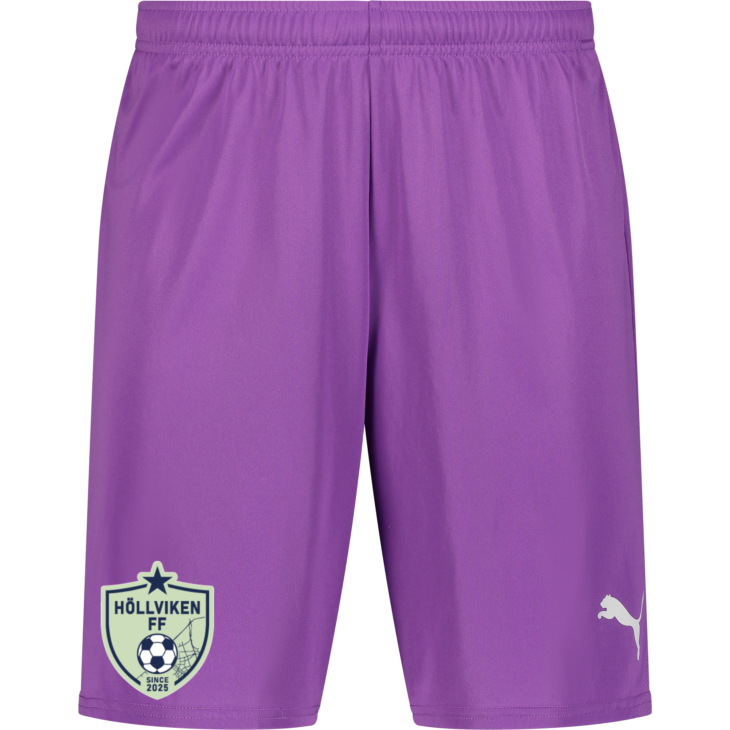 
PUMA, 
T Goal Shorts, 
Detail 1
