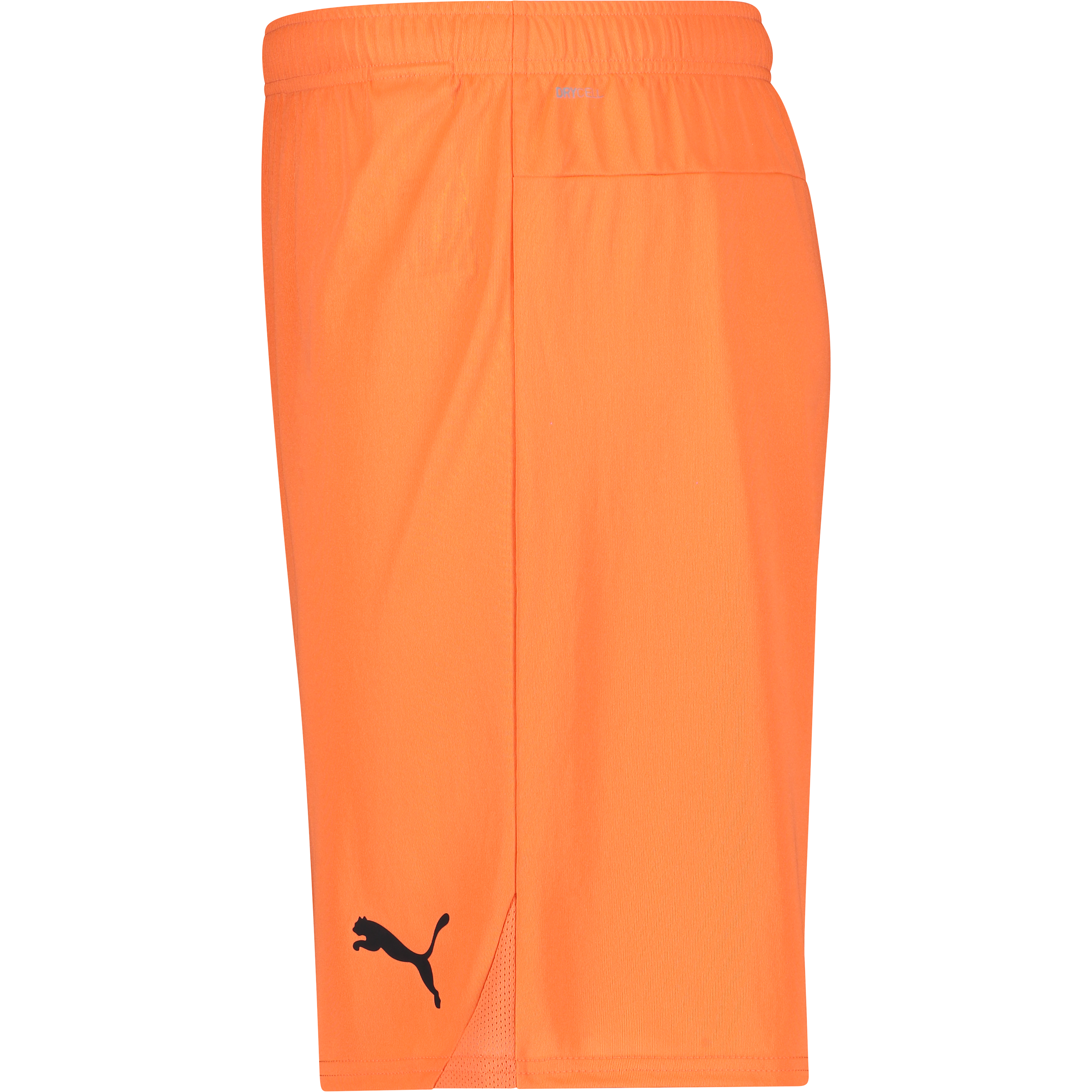 PUMA, T Goal Shorts