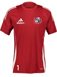 390923105101 ADIDAS Tiro24 Jsy 390923105101 ADIDAS Tiro24 Jsy Standard Small1x1