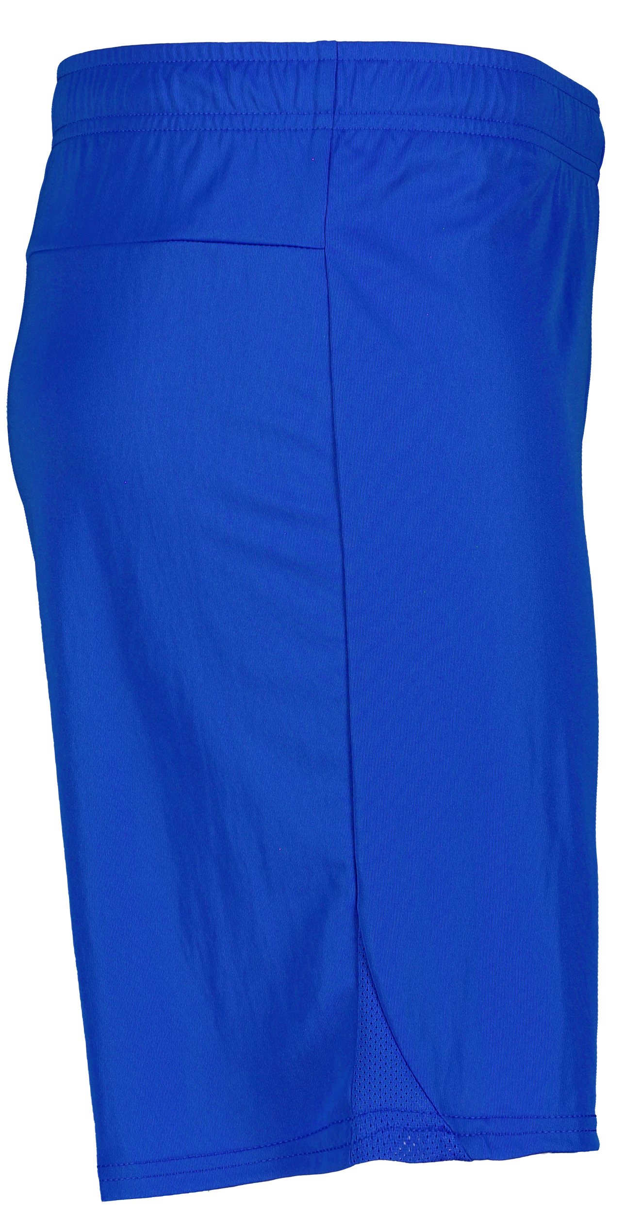 PUMA, T Goal Shorts