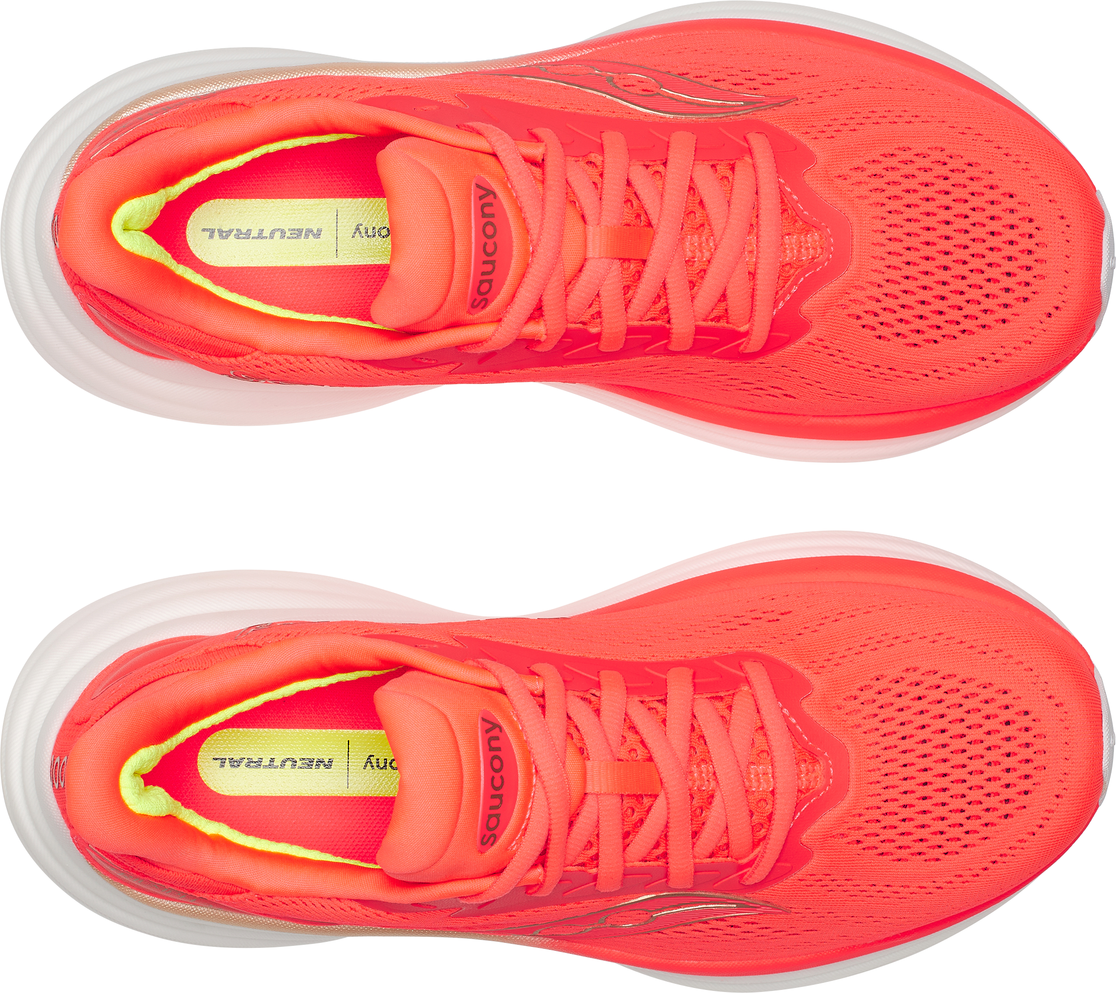 SAUCONY, W TRIUMPH 24