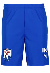 392286102101 PUMA T Goal Shorts Jr 392286102101 PUMA T Goal Shorts Jr Standard Small1x1