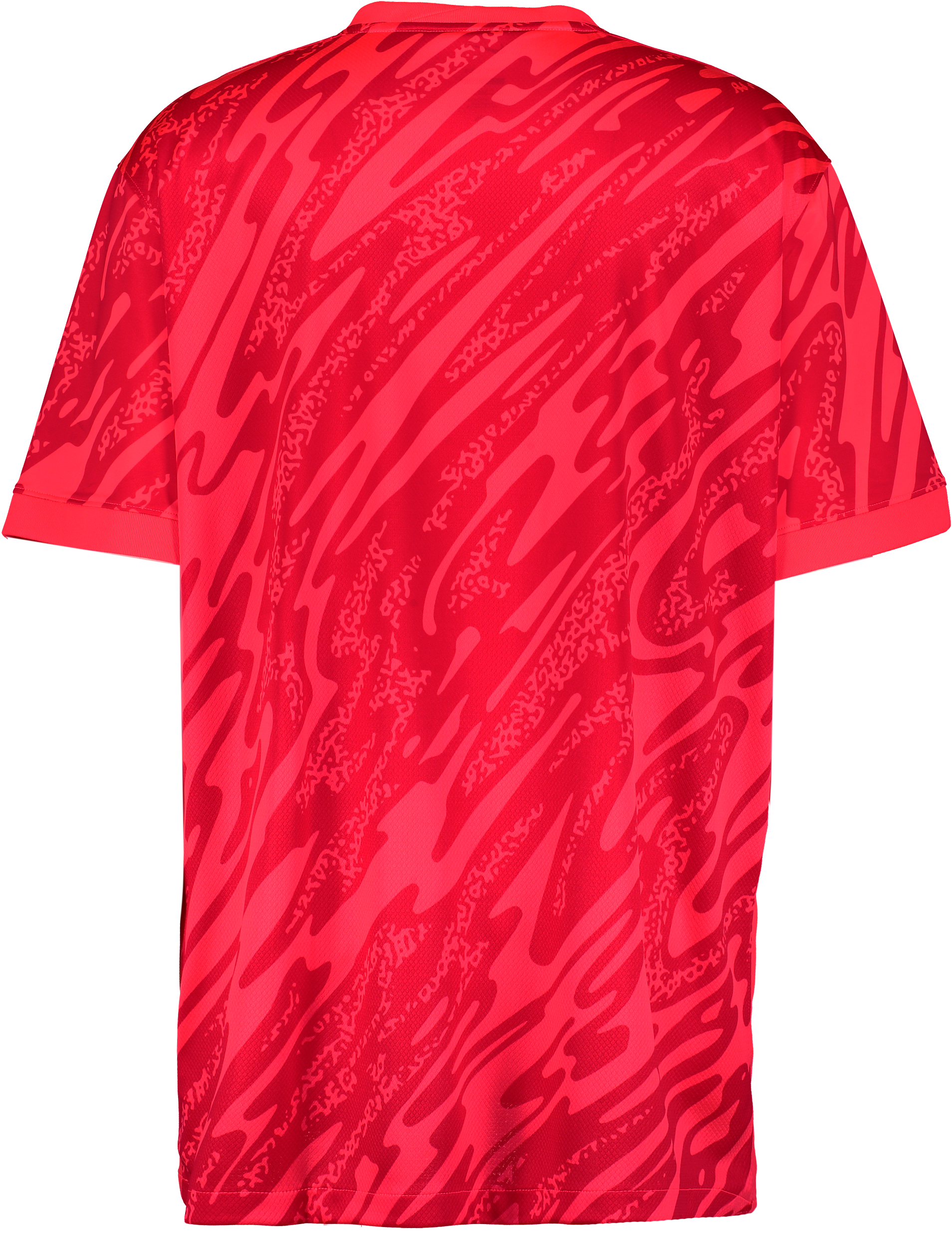 NIKE, Gardien V Gk Ss Jsy