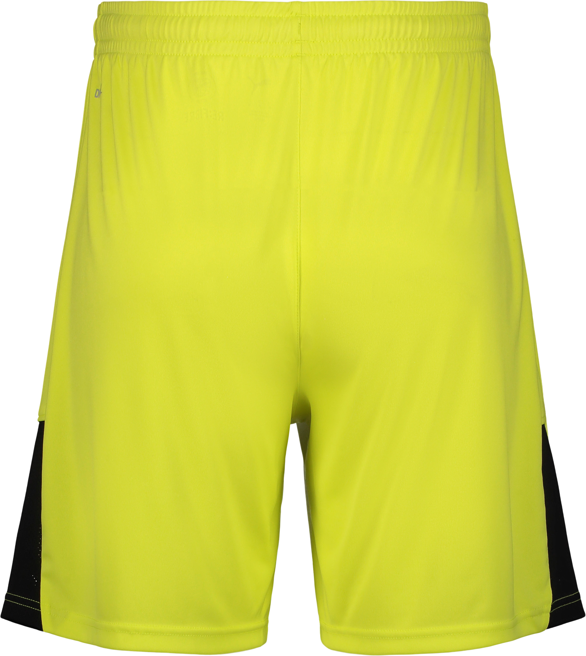 PUMA, TEAMLIGA26 SHORTS JR