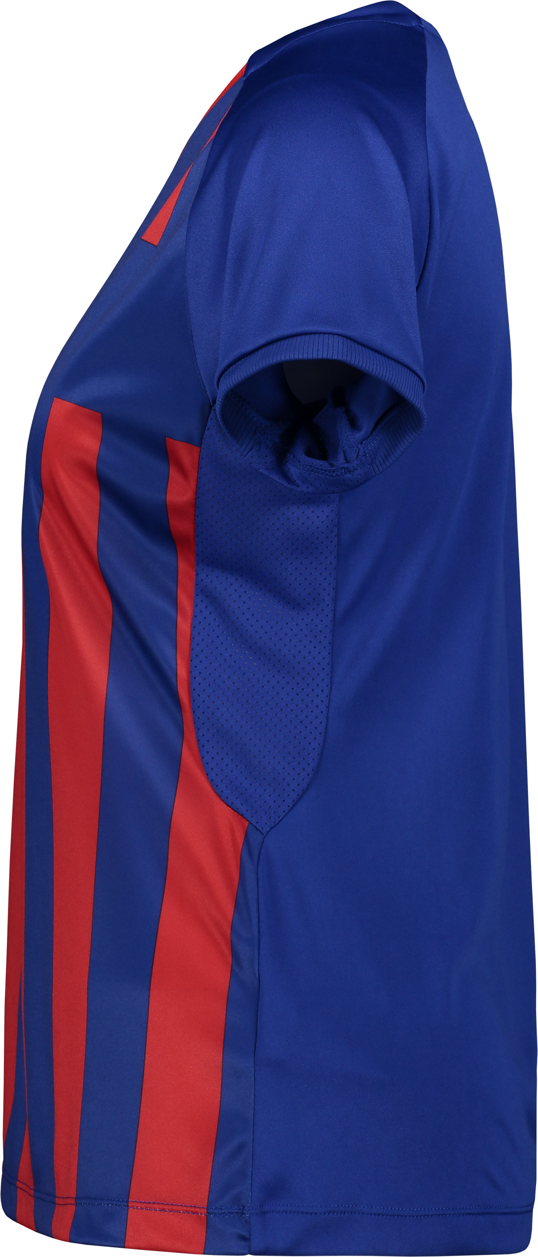 CRAFT, Prog 2.0 Striped Jsy W