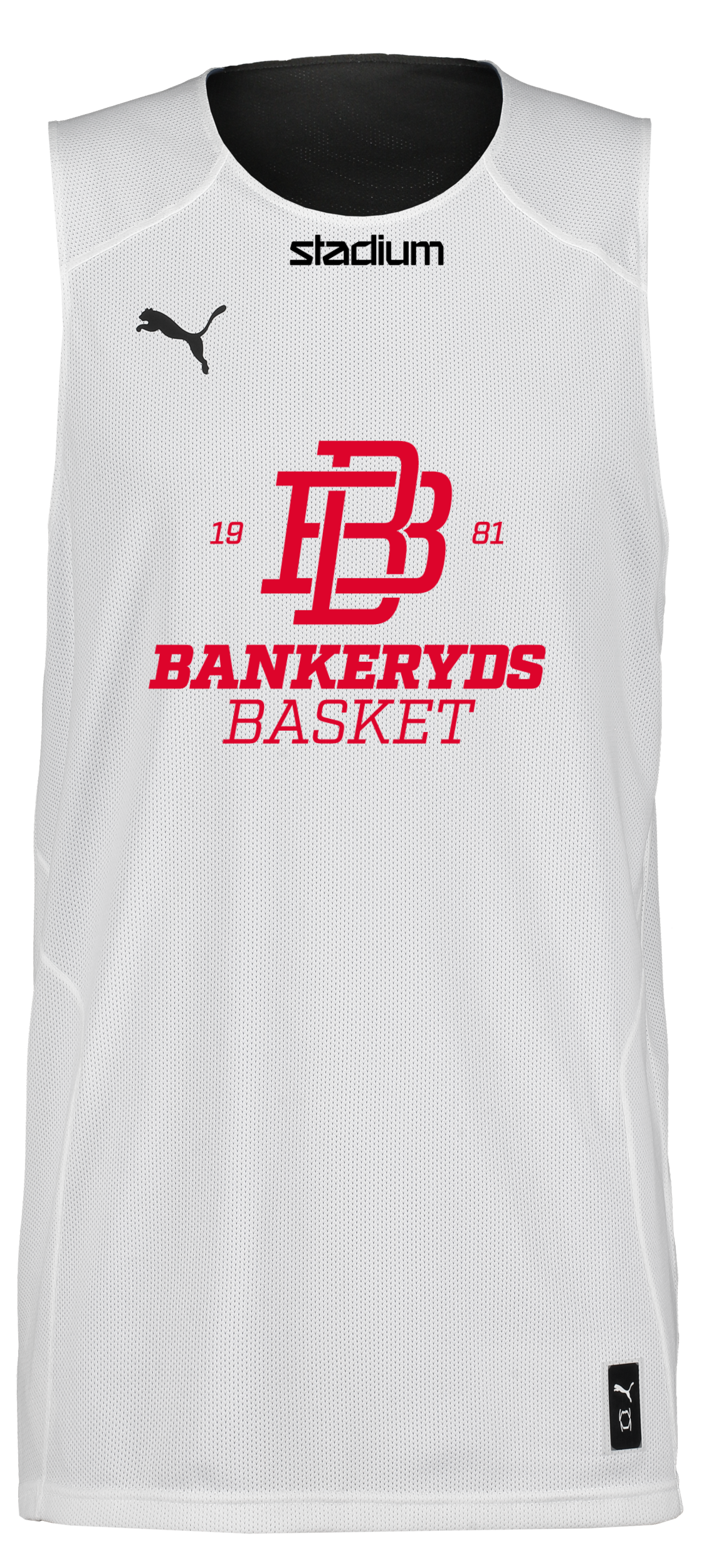 PUMA, Hoops Team Reverse Practice Jersey