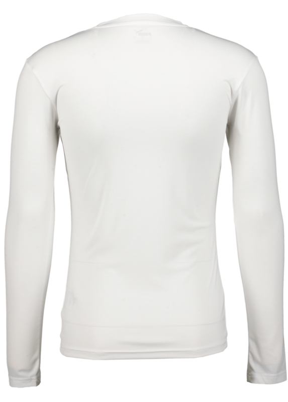 PUMA, T Goal Bl Ls Jsy