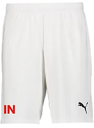 392286104101 PUMA T Goal Shorts Jr 392286104101 PUMA T Goal Shorts Jr Standard Small1x1