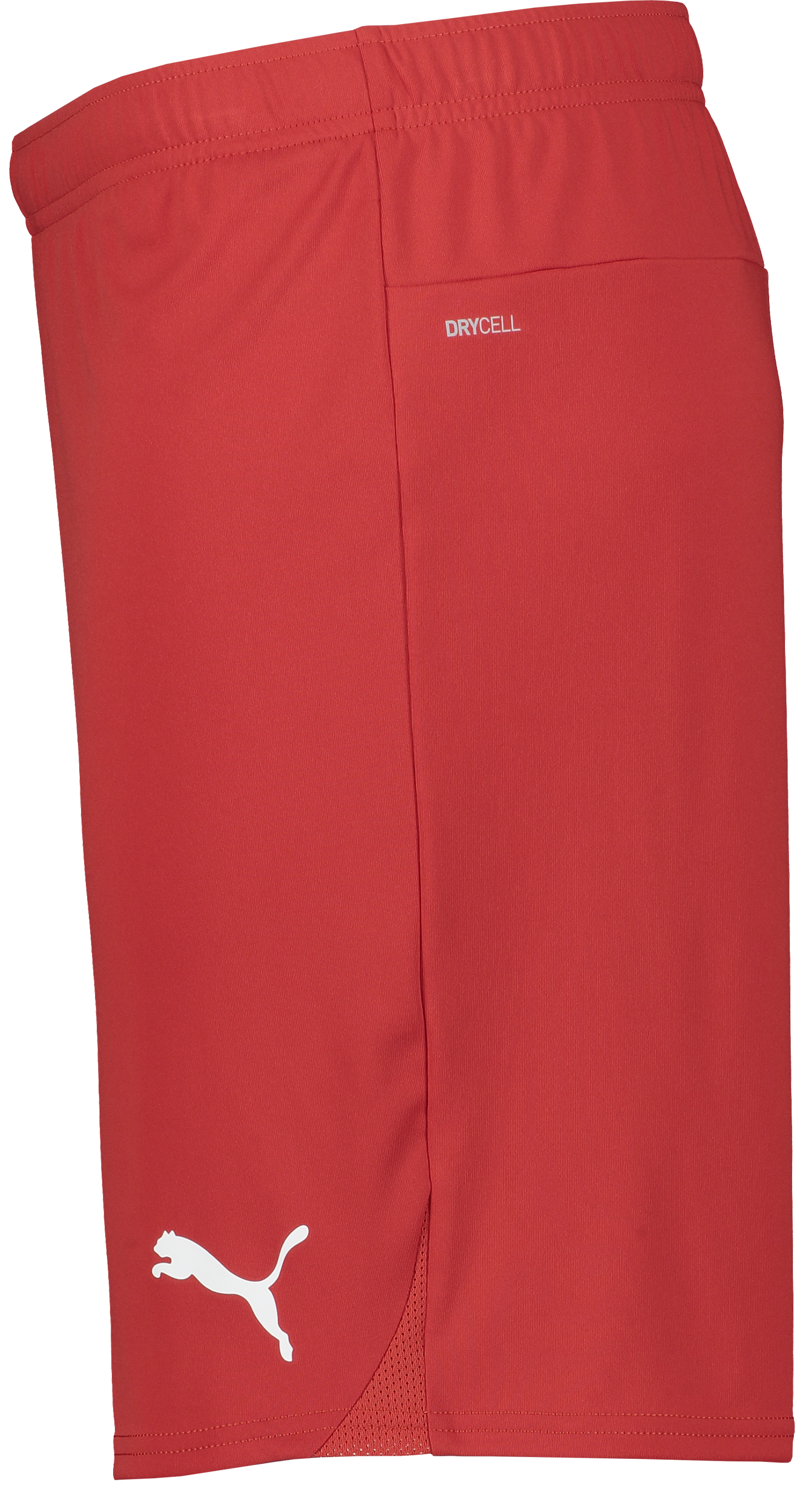 PUMA, T Goal Shorts Jr