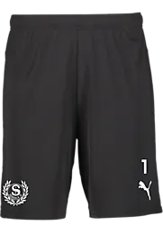 391942103101 PUMA T Goal Shorts 391942103101 PUMA T Goal Shorts Standard Small1x1