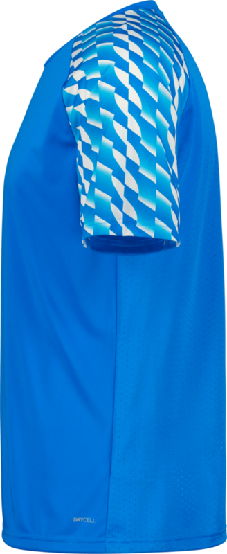PUMA, TEAMLIGA26 JERSEY