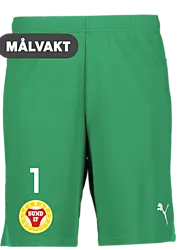 391942105101 PUMA T Goal Shorts 391942105101 PUMA T Goal Shorts Standard Small1x1