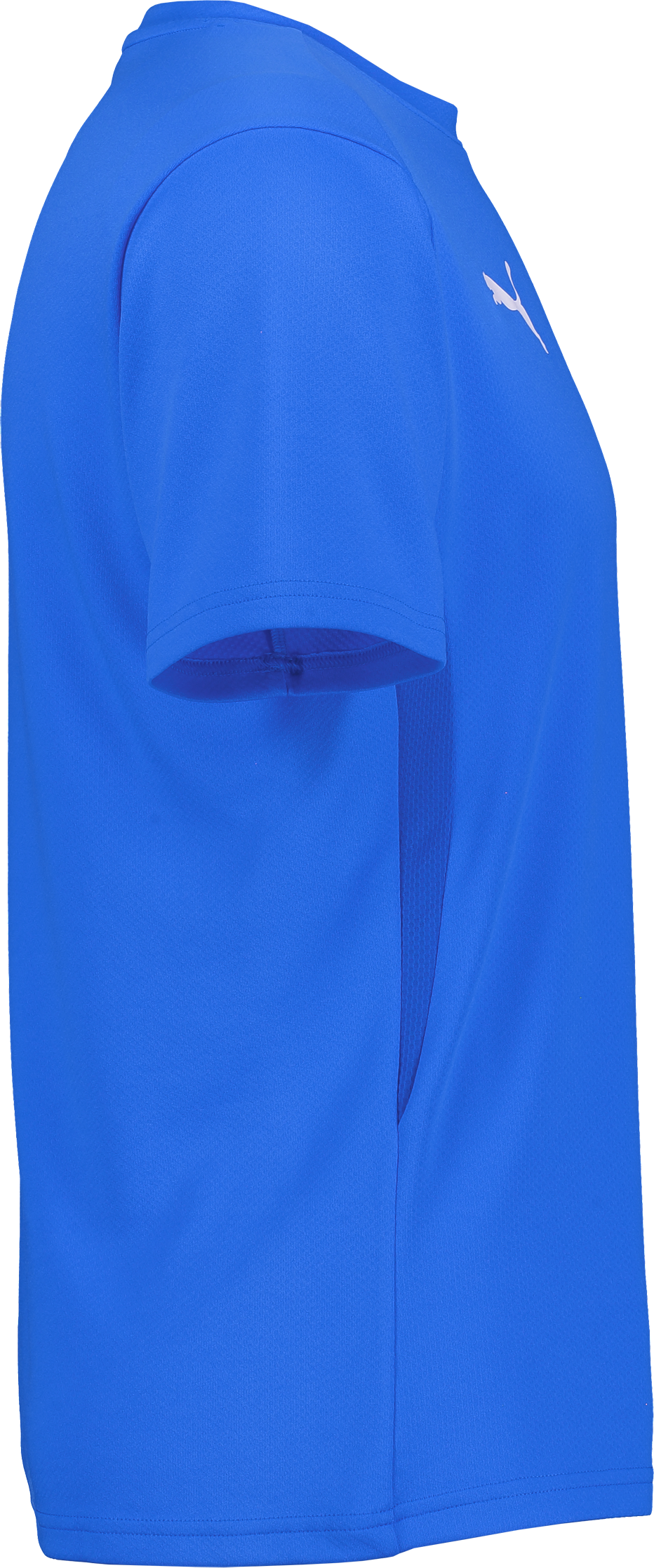 PUMA, T Goal Trg Jsy