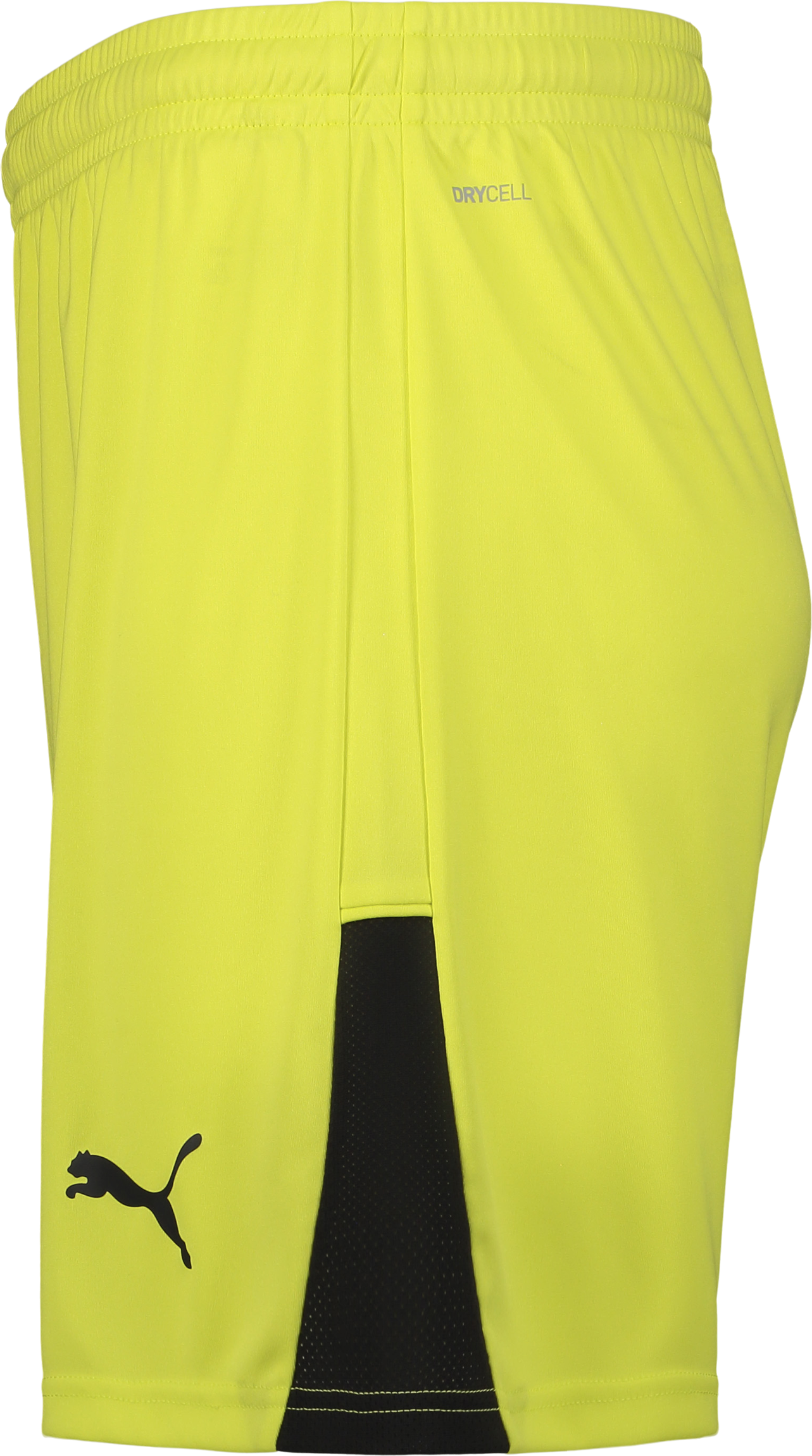 PUMA, TEAMLIGA26 SHORTS JR