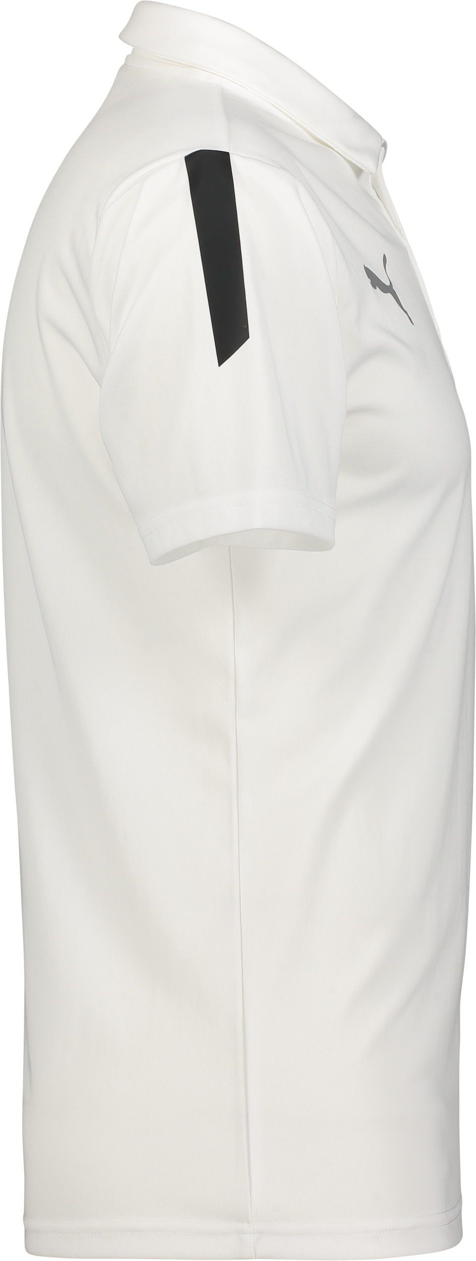 PUMA, T Liga Sideline Polo