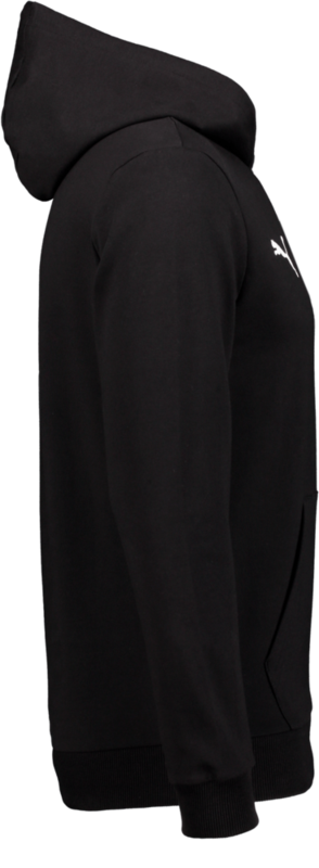 PUMA, T Goal Casual Hood Jr