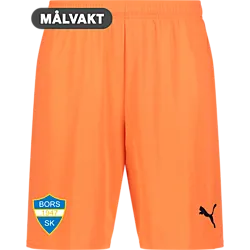 391942112101 PUMA T Goal Shorts 391942112101 PUMA T Goal Shorts Standard Small1x1