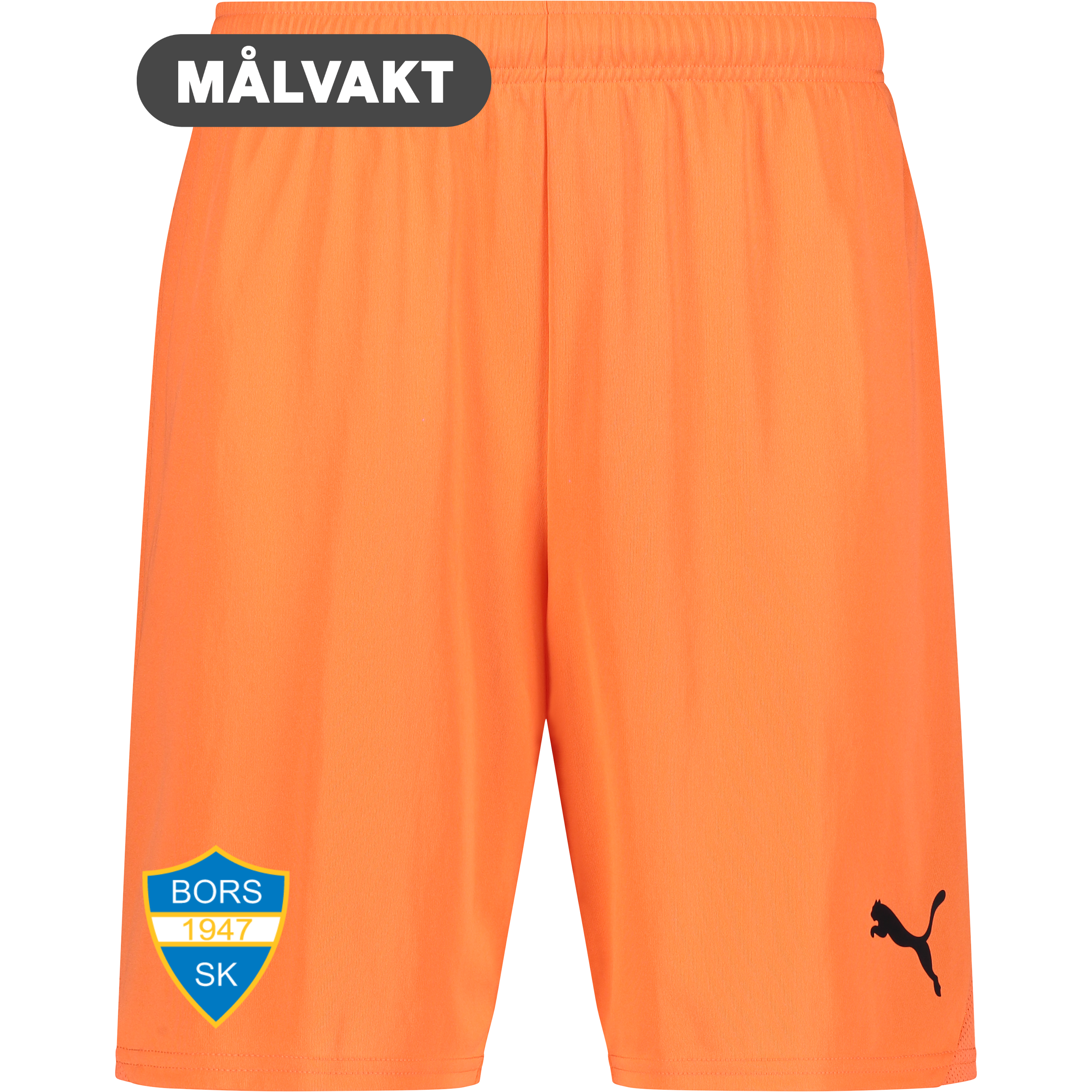 
PUMA, 
T Goal Shorts, 
Detail 1
