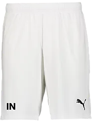 391942104101 PUMA T Goal Shorts 391942104101 PUMA T Goal Shorts Standard Small1x1