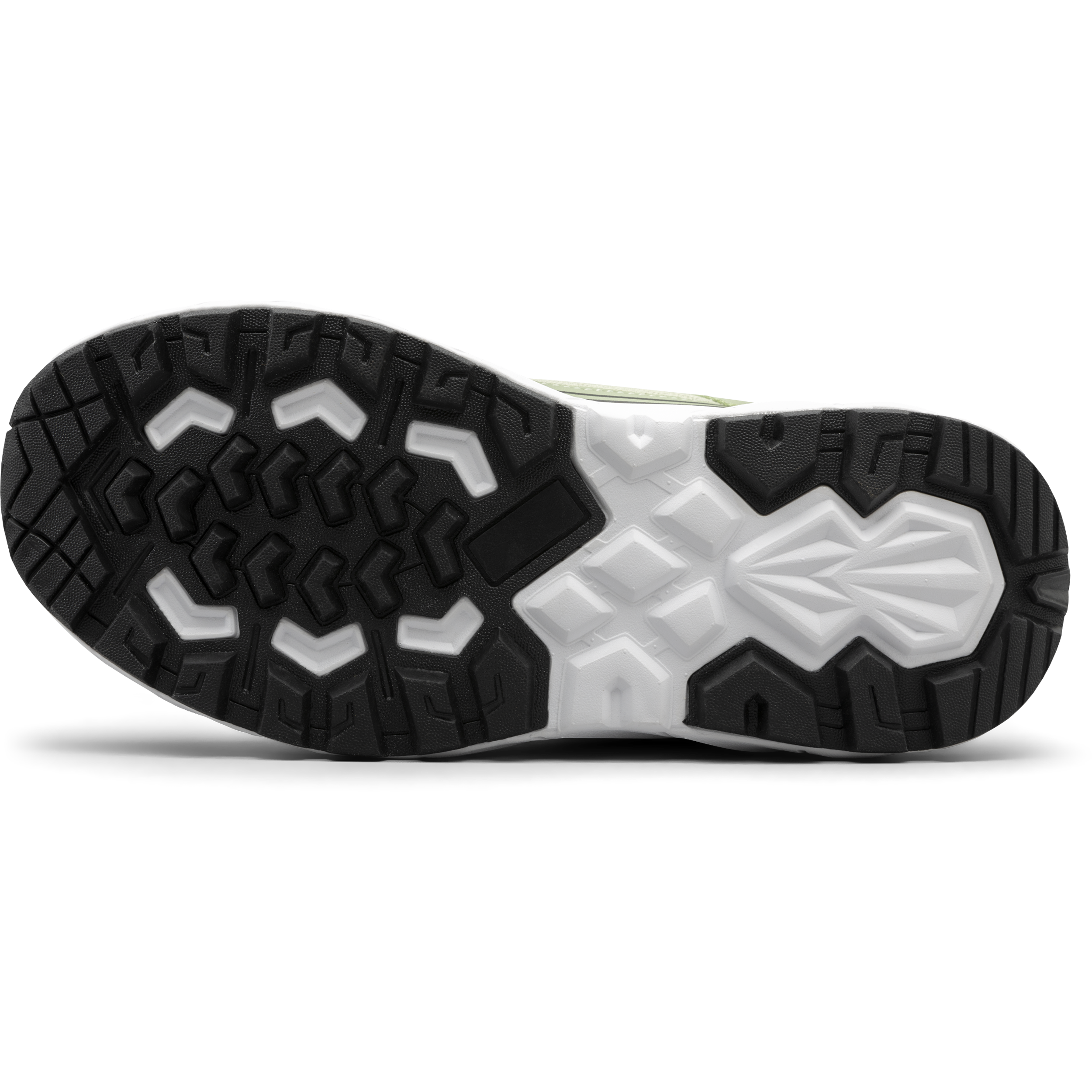 BAGHEERA, Alpha Snk Jr