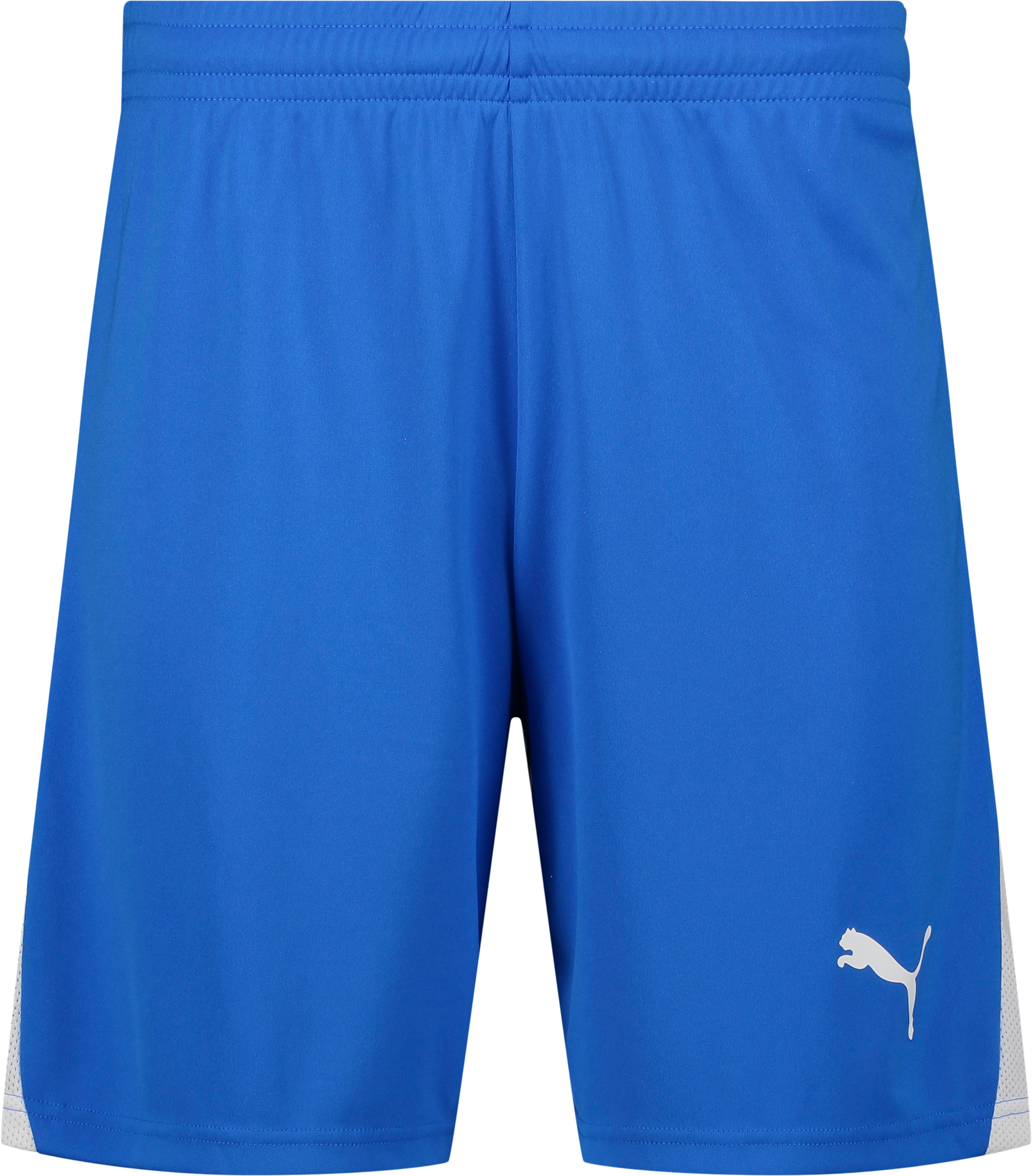 
PUMA, 
TEAMLIGA26 SHORTS JR, 
Detail 1
