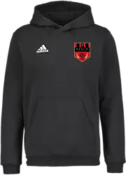 358916102101 ADIDAS Ent22 Hoody Jr 358916102101 ADIDAS Ent22 Hoody Jr Standard Small1x1