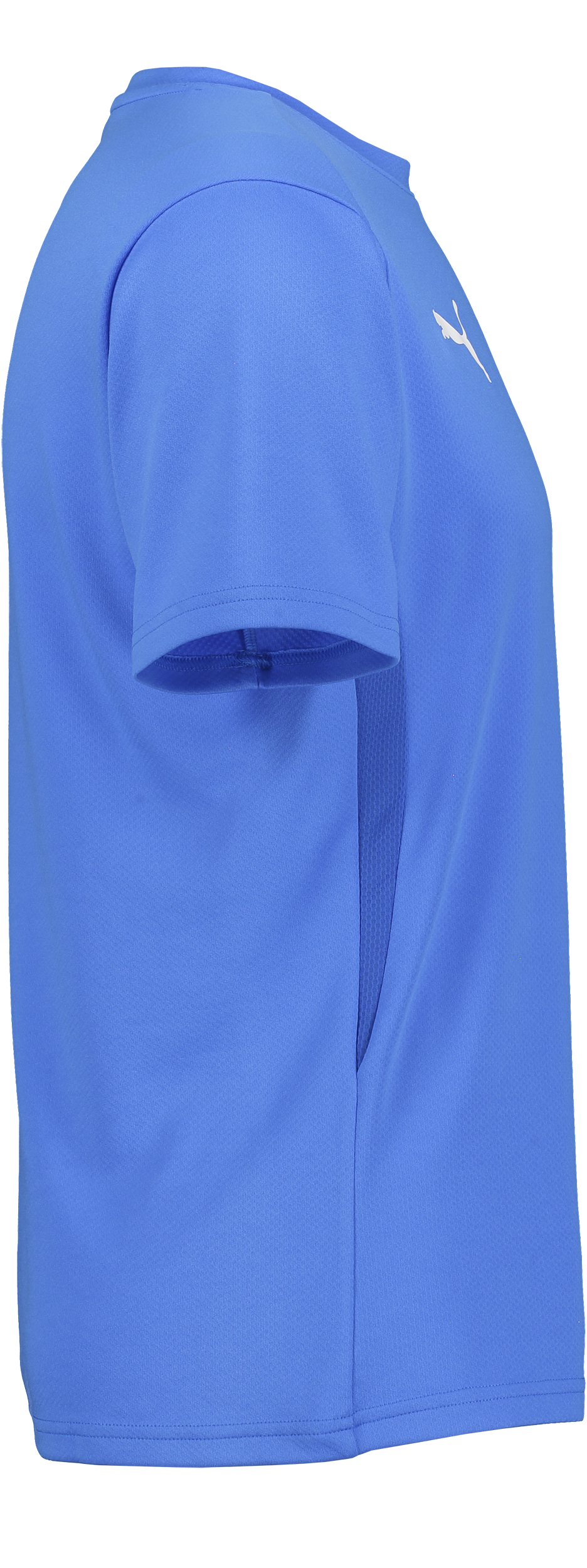 PUMA, T Goal Trg Jsy Jr
