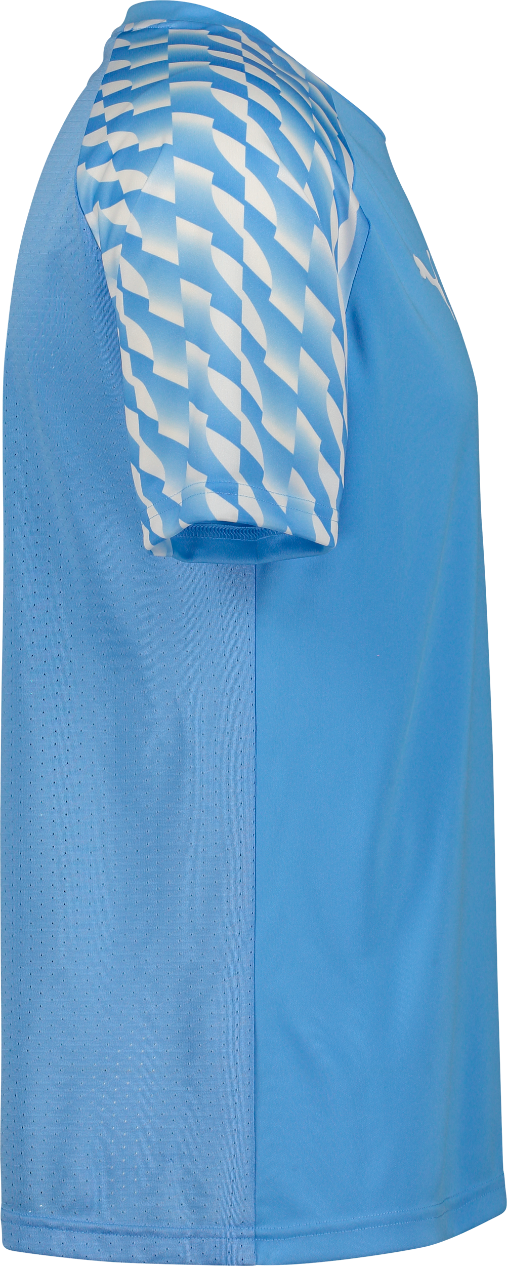 PUMA, TEAMLIGA26 JERSEY JR