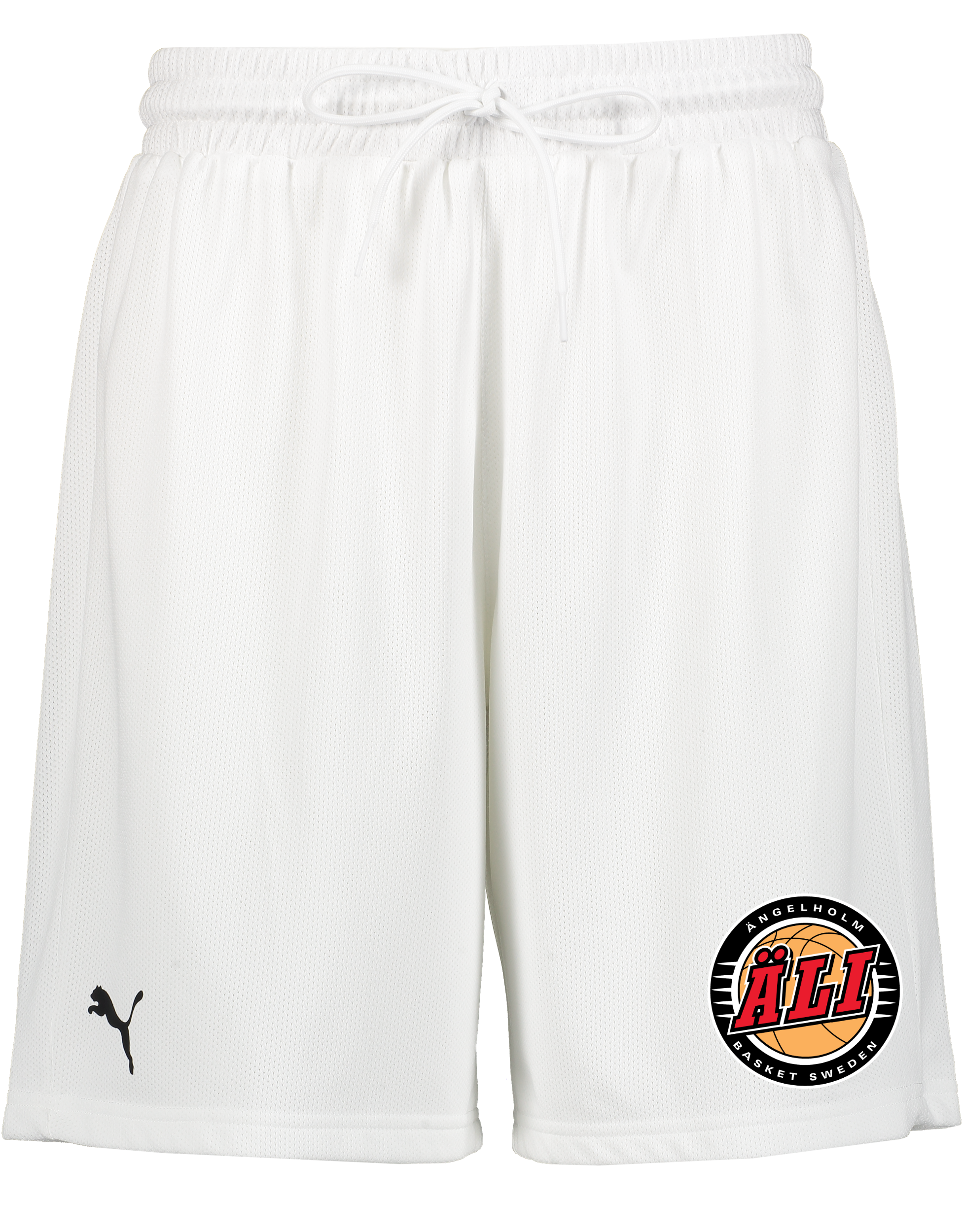 
PUMA, 
Hoops Team Practice Short, 
Detail 1
