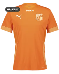 394146108101 PUMA T Goal Matchday Jsy Jr 394146108101 PUMA T Goal Matchday Jsy Jr Standard Small1x1