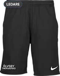 323389101101 NIKE Park20 Short 323389101101 NIKE Park20 Short Standard Small1x1
