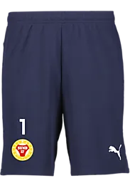 391942106101 PUMA T Goal Shorts 391942106101 PUMA T Goal Shorts Standard Small1x1