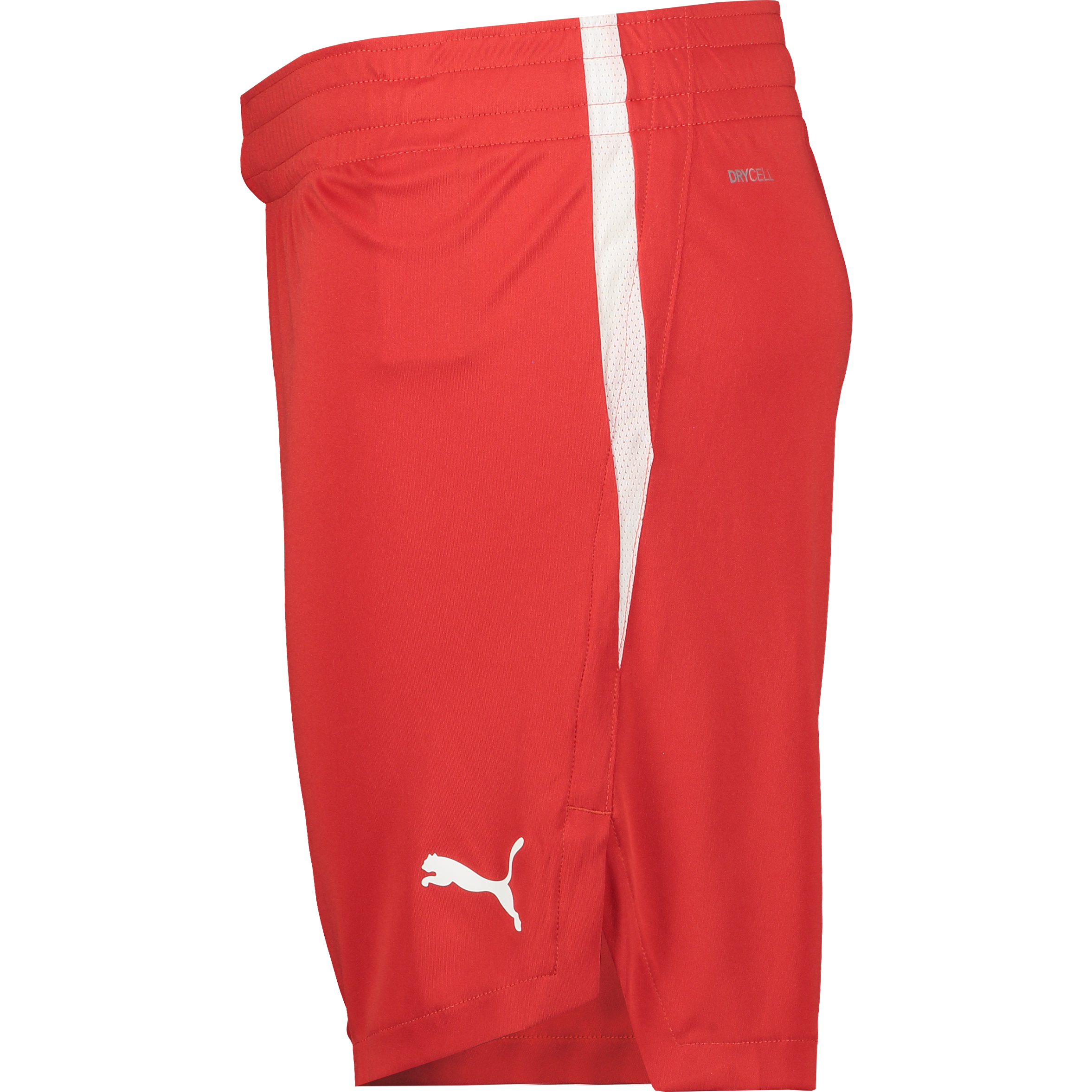 PUMA, TEAMJAWS STARTER SHORTS