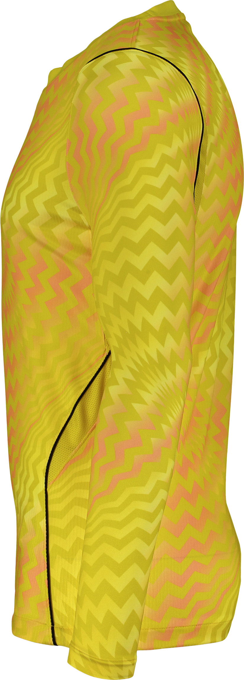 NIKE, GARDIEN VI GK LS JSY JR