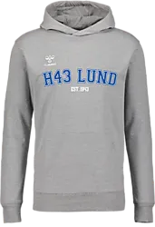 393935102101 HUMMEL Go 2.0 Hoodie Jr 393935102101 HUMMEL Go 2.0 Hoodie Jr Standard Small1x1