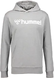 393938102101 HUMMEL Go 2.0 Logo Hoodie Jr 393938102101 HUMMEL Go 2.0 Logo Hoodie Jr Standard Small1x1