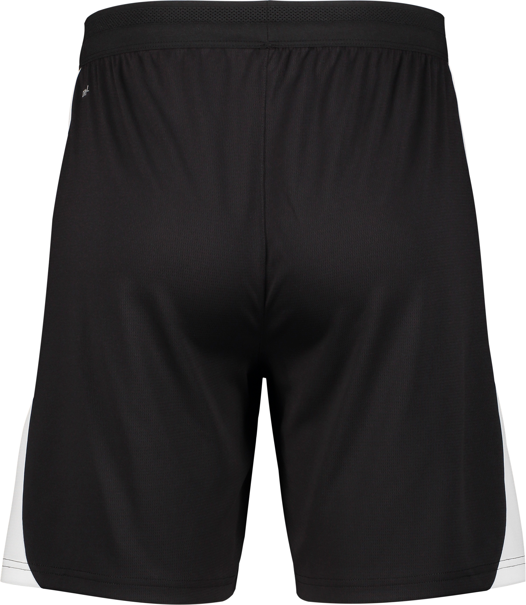 PUMA, TEAMFINAL26 TRAINING SHORTS