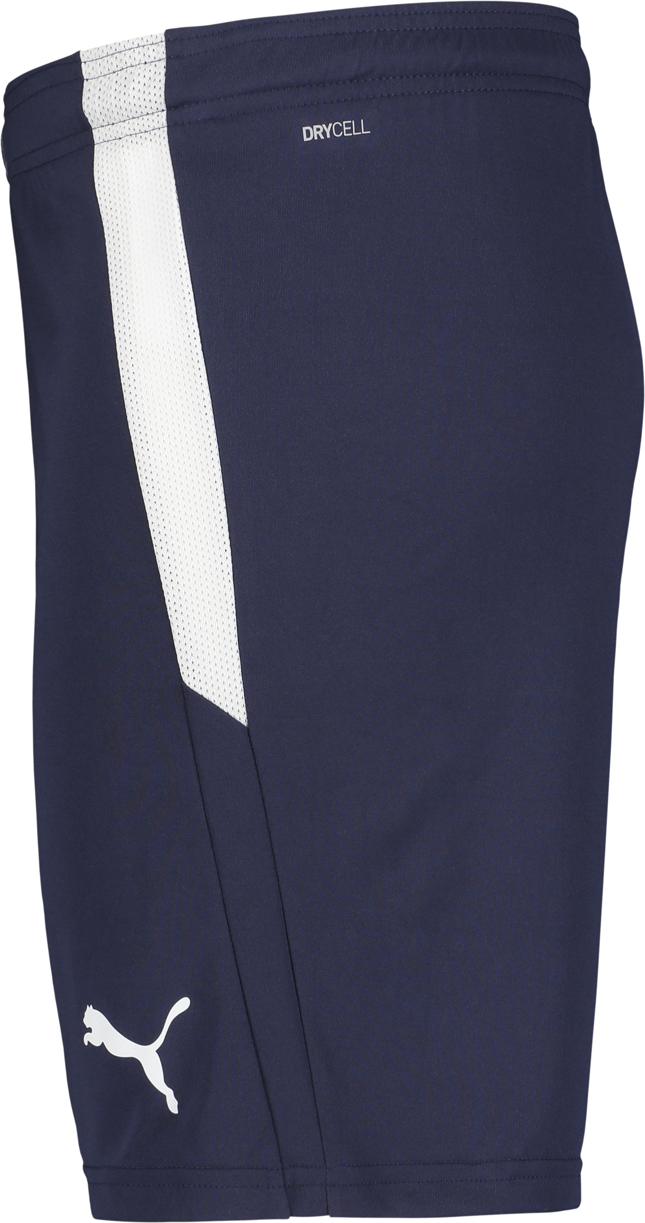 PUMA, T Liga Shorts Jr