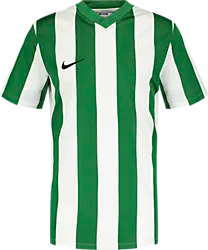 Stripe Dvsn Jsy Jr - White/Pine Green Standard Small1x1