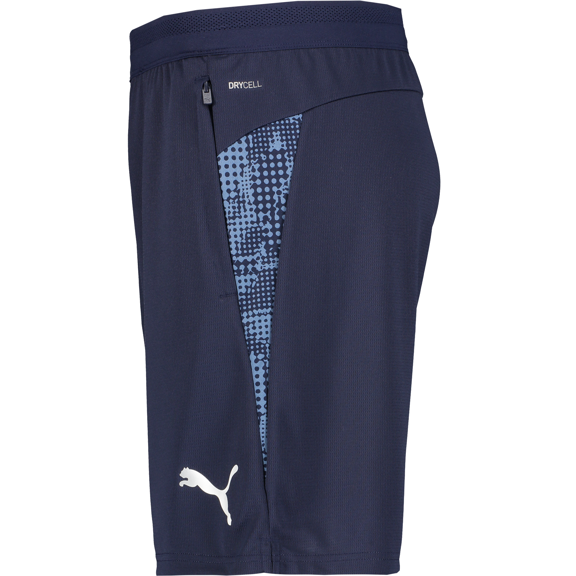PUMA, Teamcup Training Shorts
